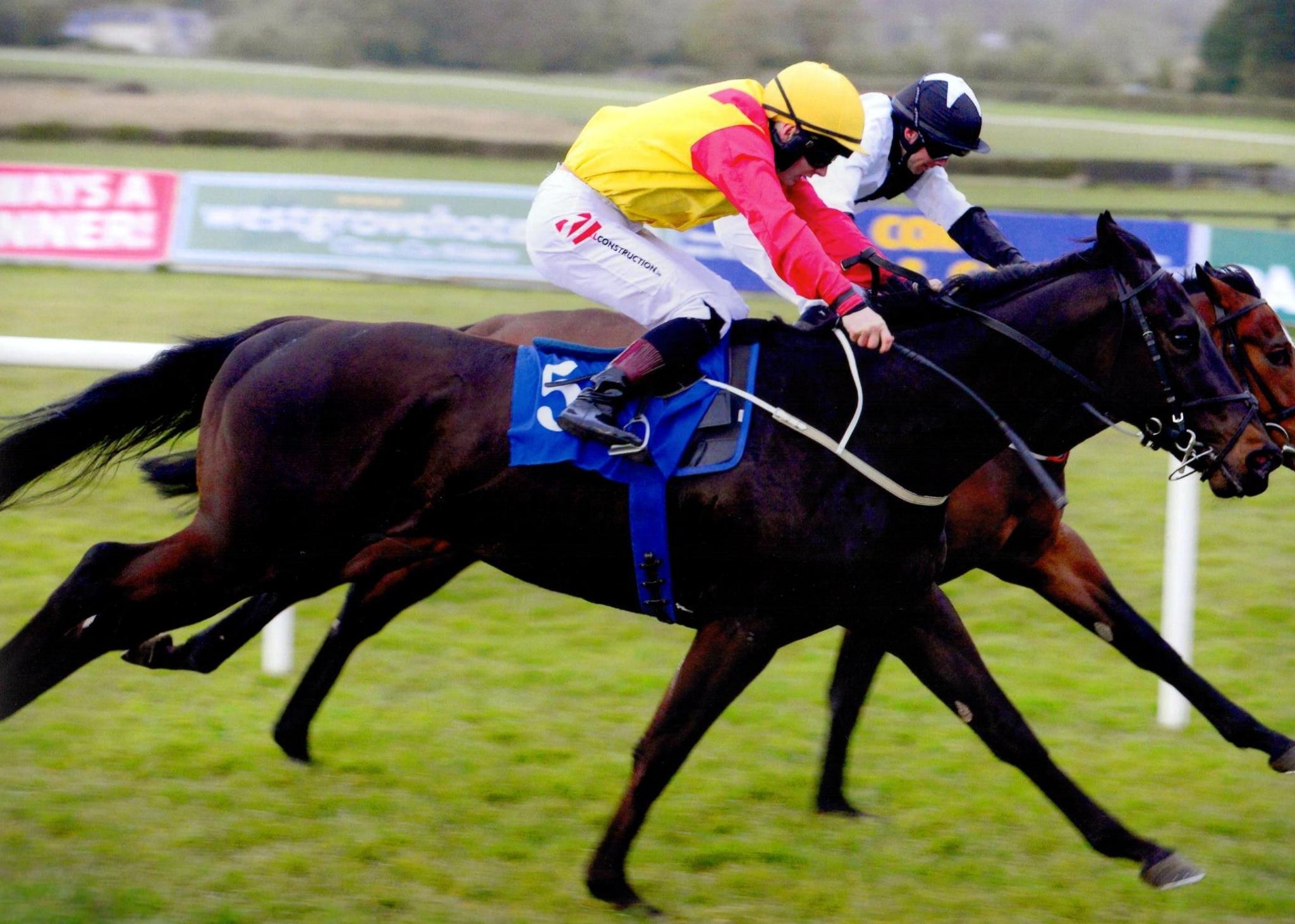 ELUSIVE HEIGHTS brings up a double for Ger and Colin at Naas 25 April 2016